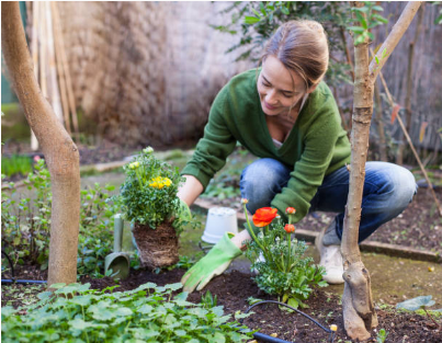 femme qui plante des fleurs dehors